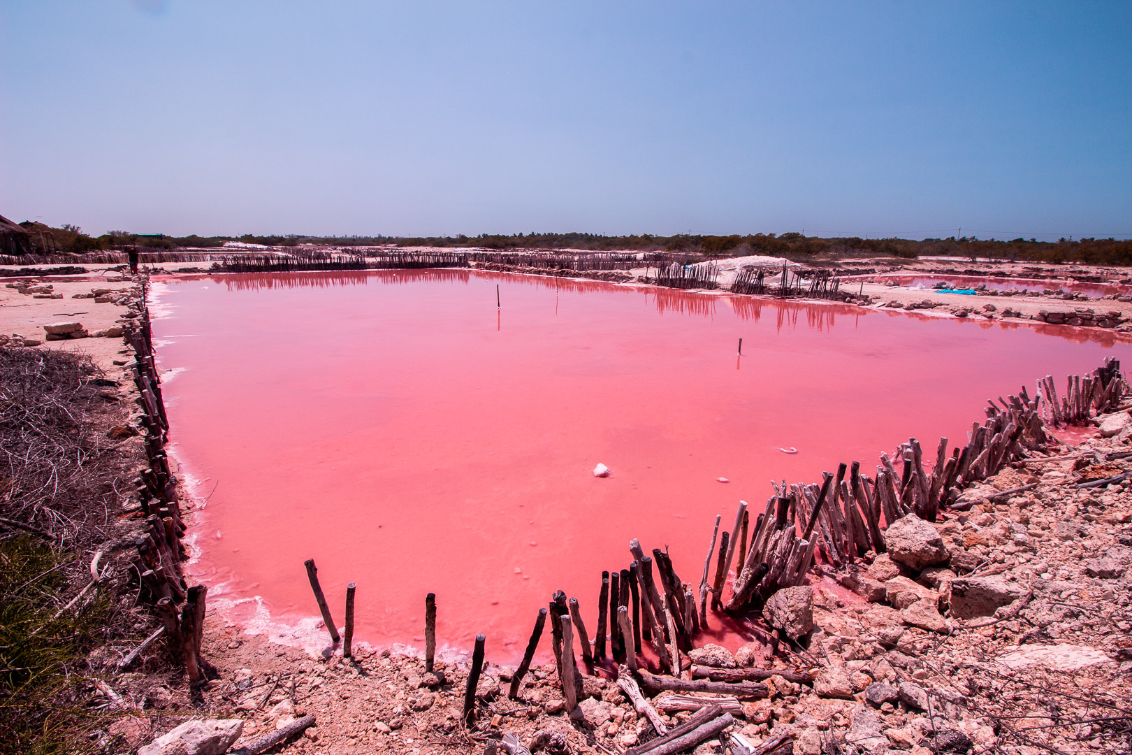 Conoce el fenómeno de la laguna rosada Las Salineras de Xtampú Pies Viajeros