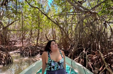 Guía completa de Río Lagartos, Yucatán.