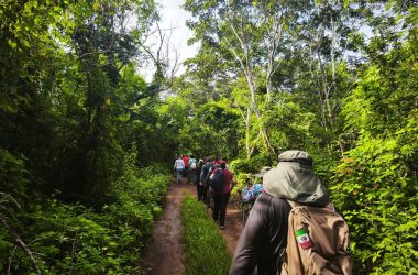 Actividades al aire libre en Yucatán